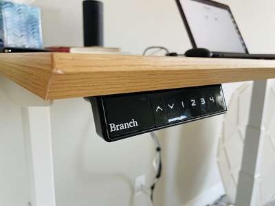Branch Standing Desk Controls